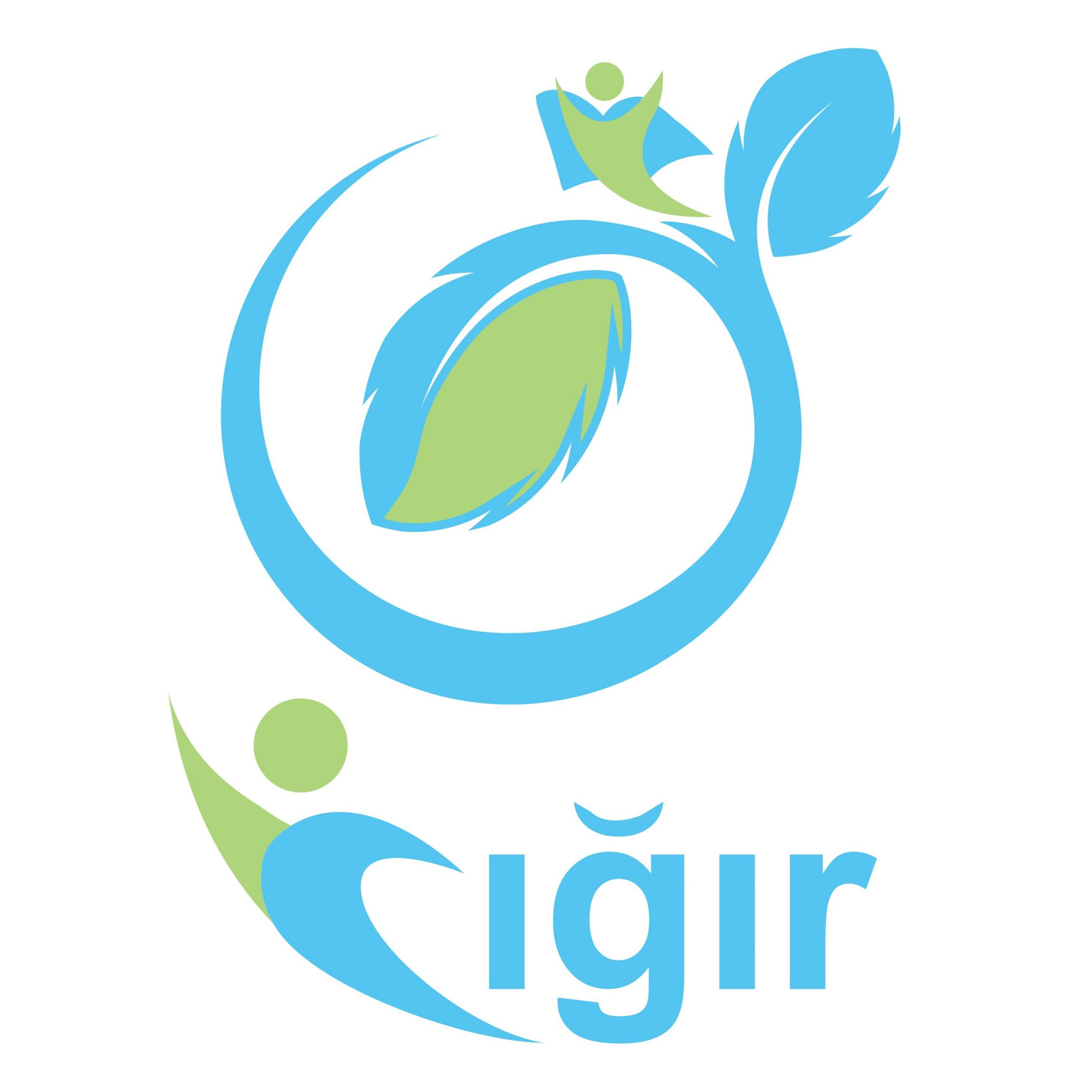 “Cığır” MDİD İB